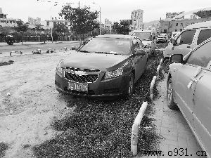 ������ɫ����