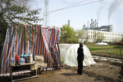 ���ݹ��ݰ�ҹ�˾