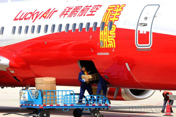 ���ݿ���